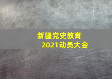 新疆党史教育 2021动员大会